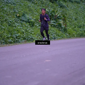 Runner Photo 5056063