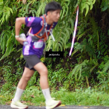 Runner Photo 5057342