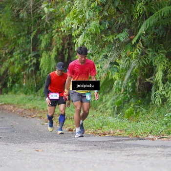 Runner Photo 5057512