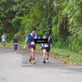 Runner Photo 5057790