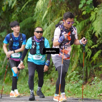 Runner Photo 5058324