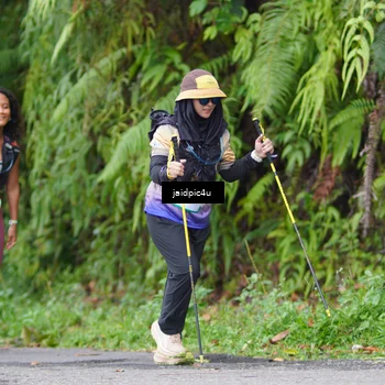 Runner Photo 5058736