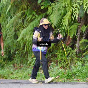 Runner Photo 5058742