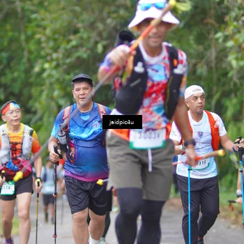 Runner Photo 5060933