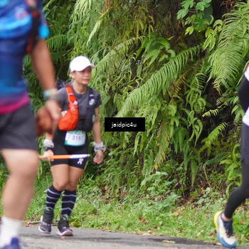 Runner Photo 5060964