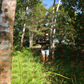 Runner Photo 5061