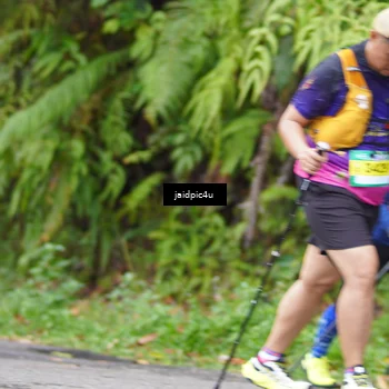 Runner Photo 5061493