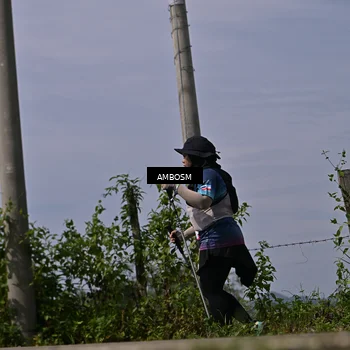 Runner Photo 5061876