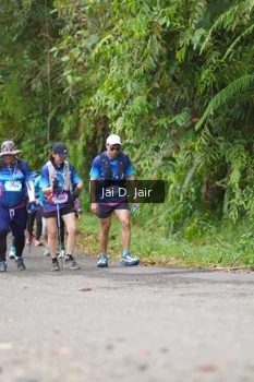 Runner Photo 5062481