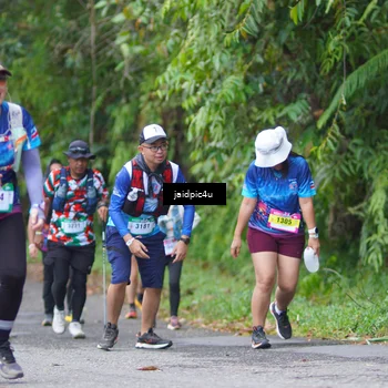 Runner Photo 5062808