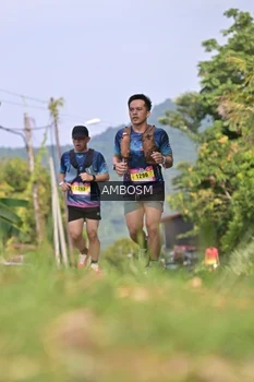 Runner Photo 5062832