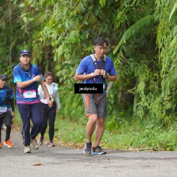 Runner Photo 5062896
