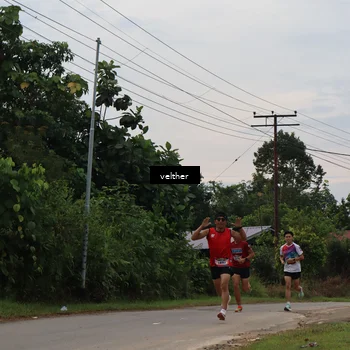 Runner Photo 5064328