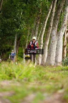 Runner Photo 5067631