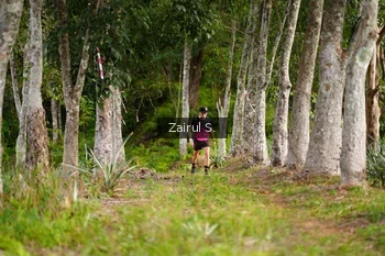 Runner Photo 5068135