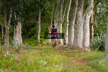 Runner Photo 5068163