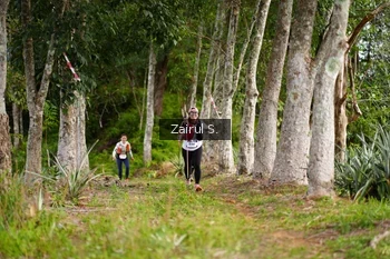 Runner Photo 5068304