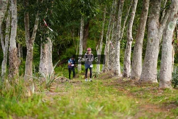 Runner Photo 5068597