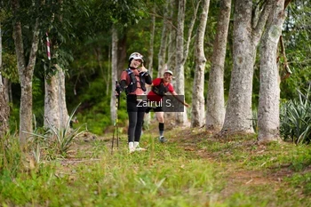 Runner Photo 5068844