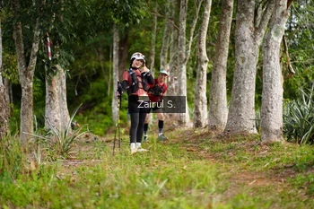 Runner Photo 5068845