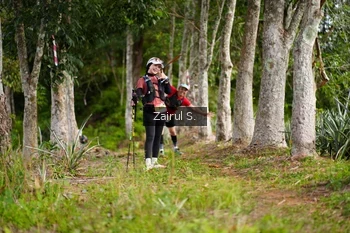 Runner Photo 5068850