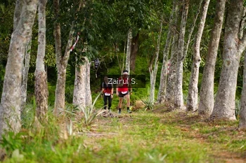 Runner Photo 5069367