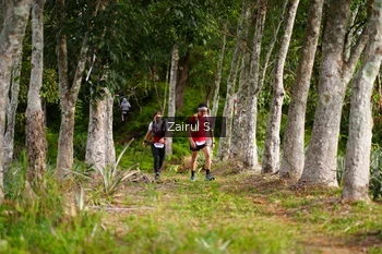 Runner Photo 5069373