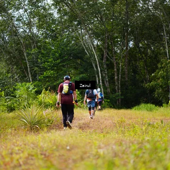 Runner Photo 5071982