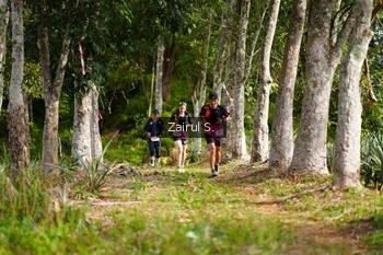 Runner Photo 5072241