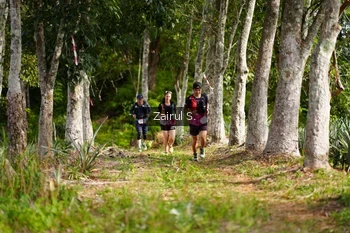 Runner Photo 5072243