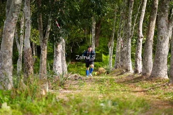 Runner Photo 5072287