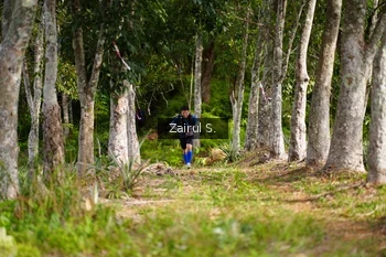 Runner Photo 5072288