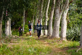 Runner Photo 5072353