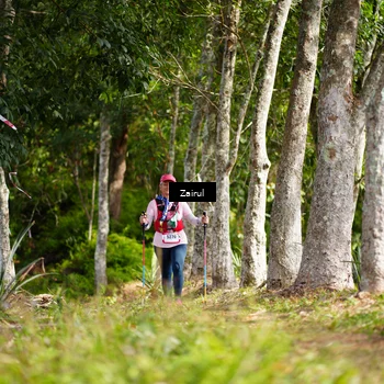 Runner Photo 5072786