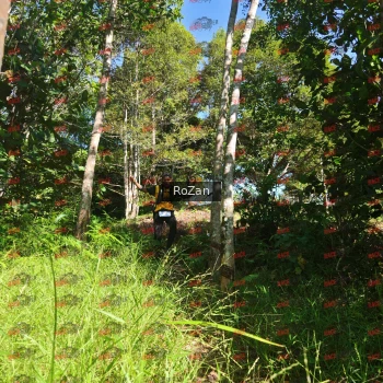 Runner Photo 5073