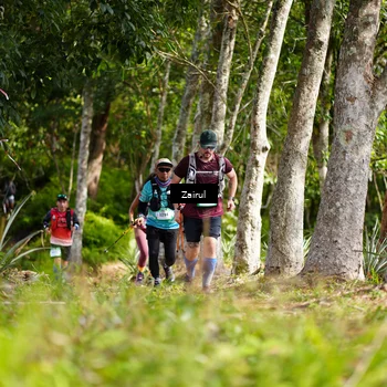Runner Photo 5073184