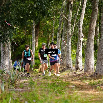 Runner Photo 5074347