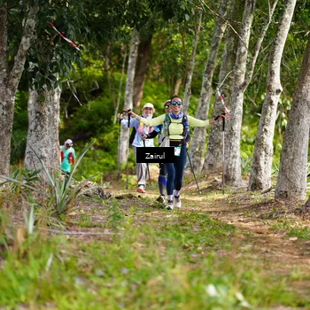 Runner Photo 5075745