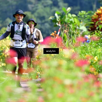 Runner Photo 5078143