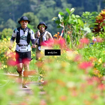 Runner Photo 5078145