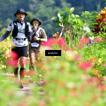 Runner Photo 5078146