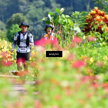 Runner Photo 5078156