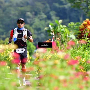 Runner Photo 5078161