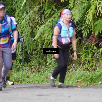 Runner Photo 5078164