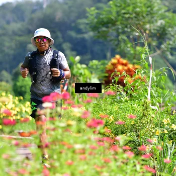 Runner Photo 5078175