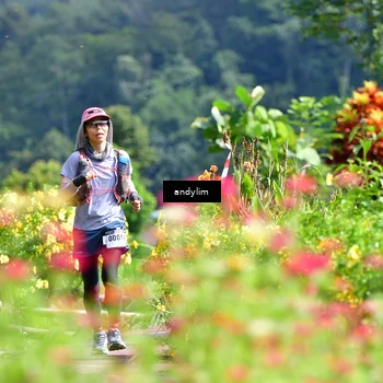 Runner Photo 5078192