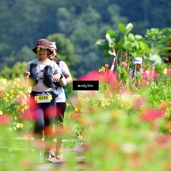 Runner Photo 5078230