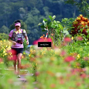 Runner Photo 5078266