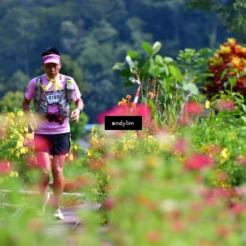 Runner Photo 5078269