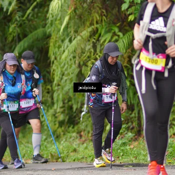 Runner Photo 5078275